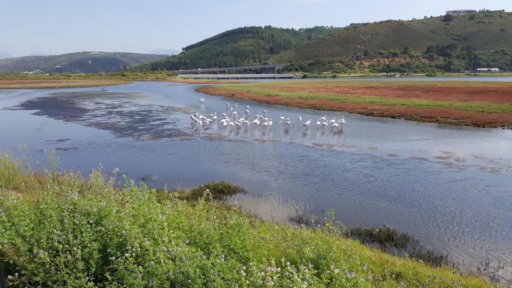 At 29 Columba Otel Great Brak River Dış mekan fotoğraf